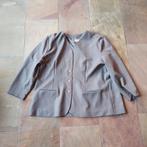 Grijze blazer Setter Lady maat 54, Maat 46/48 (XL) of groter, Ophalen of Verzenden, Vintage, Grijs