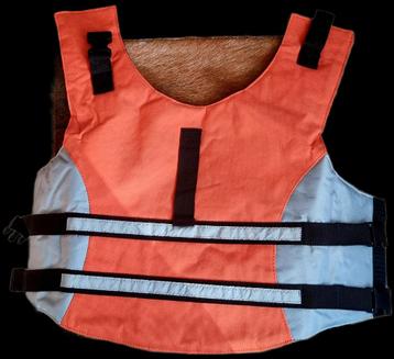 Honden hes  beschikbaar voor biedingen