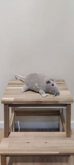 Knuffel van een rat, Kinderen en Baby's, Speelgoed | Knuffels en Pluche, Ophalen of Verzenden, Zo goed als nieuw, Overige typen