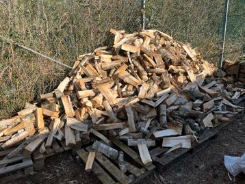 Berken Brandhout beschikbaar voor biedingen