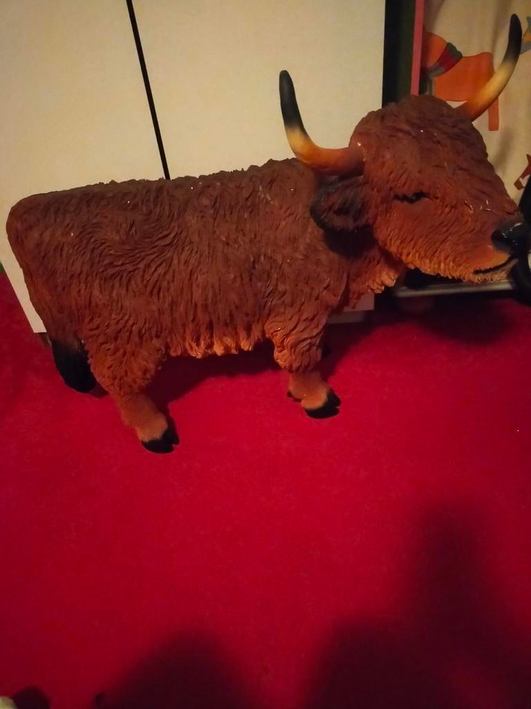 Prachtig Schotse hooglander beeld, Ophalen, Gebruikt