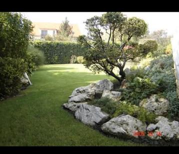 Tuin schoonmaken  beschikbaar voor biedingen
