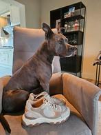 Via Vai maat 40 beige, Ophalen of Verzenden, Zo goed als nieuw, Sneakers of Gympen