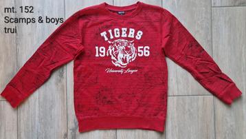 152 Zgan! Stoere dunne Tigers trui Scamps en Boys