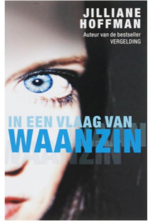 Jilliane Hoffman - In een vlaag van waanzin, Boeken, Thrillers, Zo goed als nieuw, Nederland, Ophalen of Verzenden