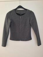 Trendy grijs vest VILA - maat XS 34, Vila, Ophalen of Verzenden, Maat 34 (XS) of kleiner, Grijs