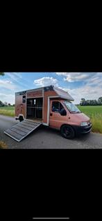 Paarden vrachtwagen 2paards wagen, Dieren en Toebehoren, Overige typen, Gebruikt, Ophalen of Verzenden, Aluminium