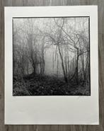 Zeefdruk van foto Ralph Janowski, Antiek en Kunst, Kunst | Litho's en Zeefdrukken, Verzenden