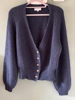 Vest van Fabienne Chapot, Blauw, Ophalen of Verzenden, Zo goed als nieuw, Fabienne Chapot