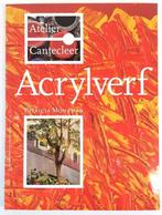 Acrylverf - Patricia Monahan, Ophalen of Verzenden, Zo goed als nieuw, Tekenen en Schilderen
