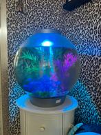 Biorb 30 liter, Dieren en Toebehoren, Verzenden, Gebruikt, Leeg aquarium