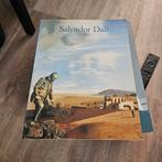 Salvador Dalí Kunstboek, Ophalen of Verzenden, Gelezen, Schilder- en Tekenkunst, Salvador Dalí