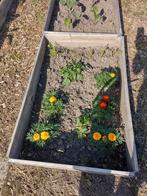 Pallet randen moestuin, Tuin en Terras, Kweekspullen, Ophalen, Gebruikt, Kweekbak