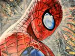 Spider-Man Schilderij 50x50 cm, Ophalen