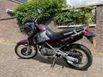 Kawasaki KLE 500 (A2), 2 cilinders, Particulier, Toermotor, Minimaal motorrijbewijs A2