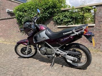 Kawasaki KLE 500 (A2) beschikbaar voor biedingen