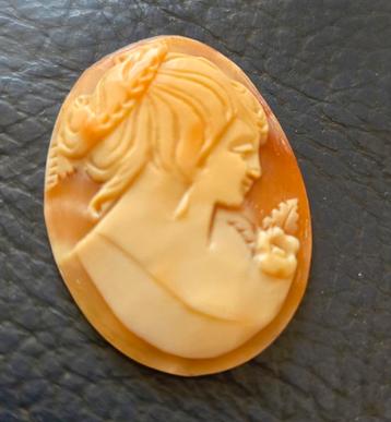 Camee schelp beschikbaar voor biedingen