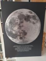 Te koop, mooi Ikea schilderij (nieuw), Ophalen, 50 tot 75 cm, Nieuw, Schilderij