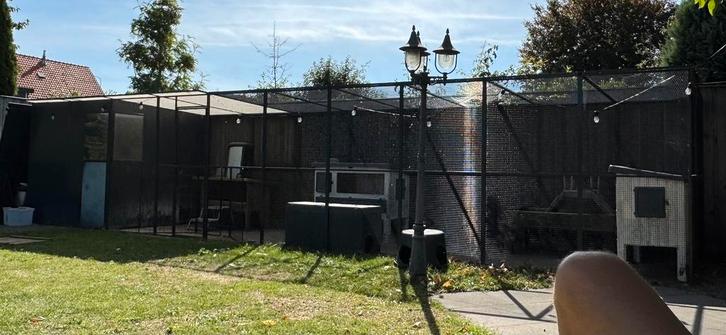 Voliere, Dieren en Toebehoren, Vogels | Hokken en Kooien, Gebruikt, Volière, Aluminium, Ophalen