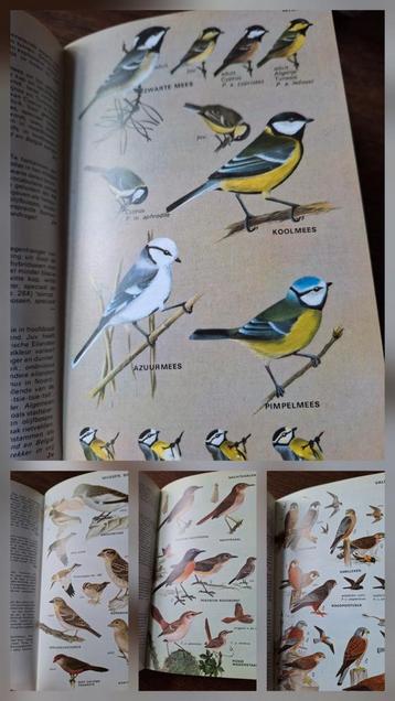 Gids Europese Vogels Thieme, 1973, heel veel afbeeldingen  beschikbaar voor biedingen
