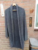 Lang vest, Maat 38/40 (M), Ophalen of Verzenden, Zo goed als nieuw, Grijs
