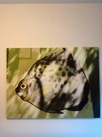 Schilderij, foto op canvas 100x150, Ophalen of Verzenden