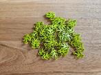 Partij J702=50x Nieuwe Lego Lime bladeren