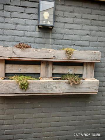 Pallet planten bak wand montage beschikbaar voor biedingen