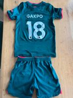 Liverpool Gakpo Voetbaltenue Maat 122/128, Ophalen of Verzenden, Zo goed als nieuw, Jongen of Meisje, Sportschoenen
