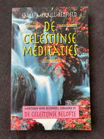 Salle Merrill-Redfield - De Celestijnse meditaties, Ophalen of Verzenden, Zo goed als nieuw, Instructieboek, Salle Merrill-Redfield