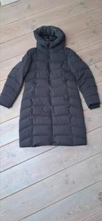 Reset jacksonville winterjas maat m, Kleding | Dames, Jassen | Winter, Ophalen of Verzenden, Zo goed als nieuw, Zwart