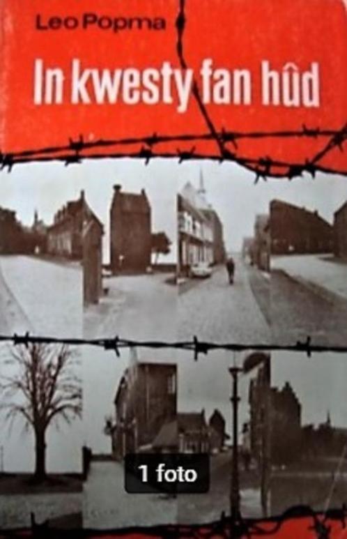 Popma – In kwesty fan hûd, Boeken, Taal | Overige Talen, Gelezen, Ophalen