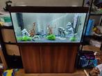 Aquarium met meubel incl. visjes en alle toebehoren, Dieren en Toebehoren, Vissen | Aquaria en Toebehoren, Ophalen, Gebruikt, Gevuld zoetwateraquarium