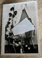 Valkenswaard,,7-09-1966…Walter, Ophalen of Verzenden