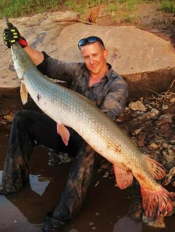 Bizarre vijvervis! Aligator snoek! Longnose gar, baars steur beschikbaar voor biedingen