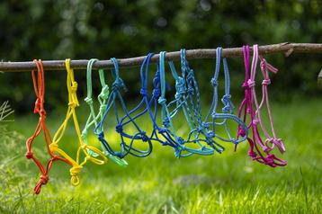 Accessoires voor hobbyhorse/stokpaard beschikbaar voor biedingen