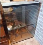 GROOT Gerbilarium gerbillarium kooi hok 60 x 80 terrarium, Ophalen, Kooi, Gebruikt, 60 tot 90 cm
