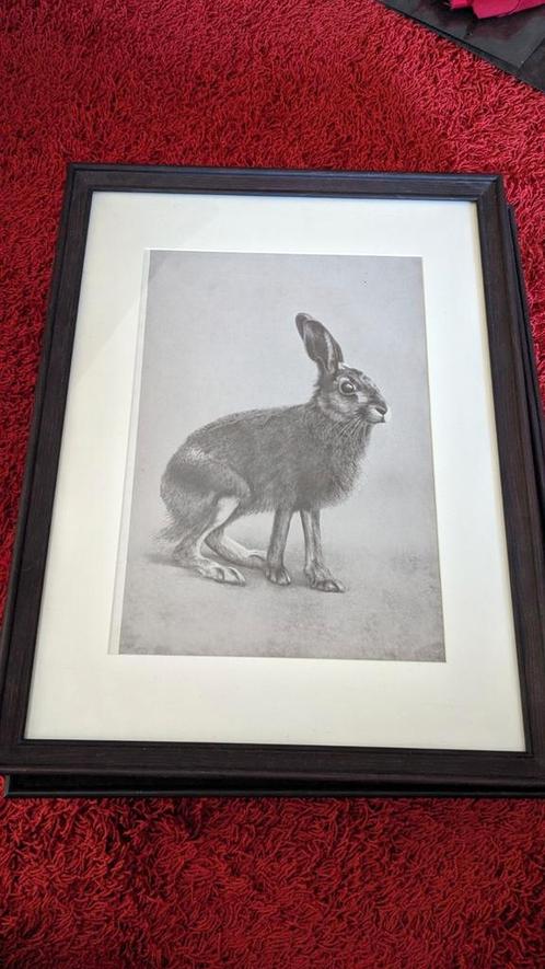 Antieke  dieren prenten ingelijst, Antiek en Kunst, Kunst | Tekeningen en Foto's, Ophalen of Verzenden