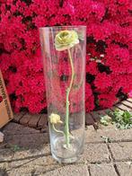 Lange glazen vaas, 50cm, Huis en Inrichting, Woonaccessoires | Vazen, Ophalen, Overige kleuren, Glas, 50 tot 75 cm