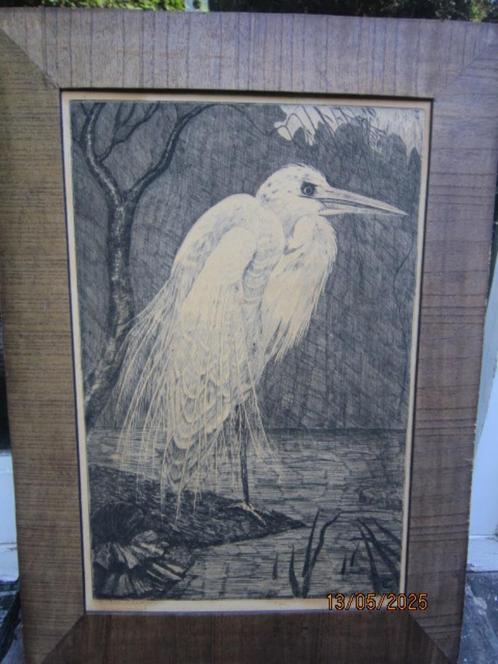 Pracht. groot Ets van een Zilverreiger, Frans de GROEN, Antiek en Kunst, Kunst | Etsen en Gravures, Ophalen of Verzenden