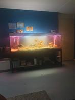 Aquarium, Ophalen, Leeg aquarium