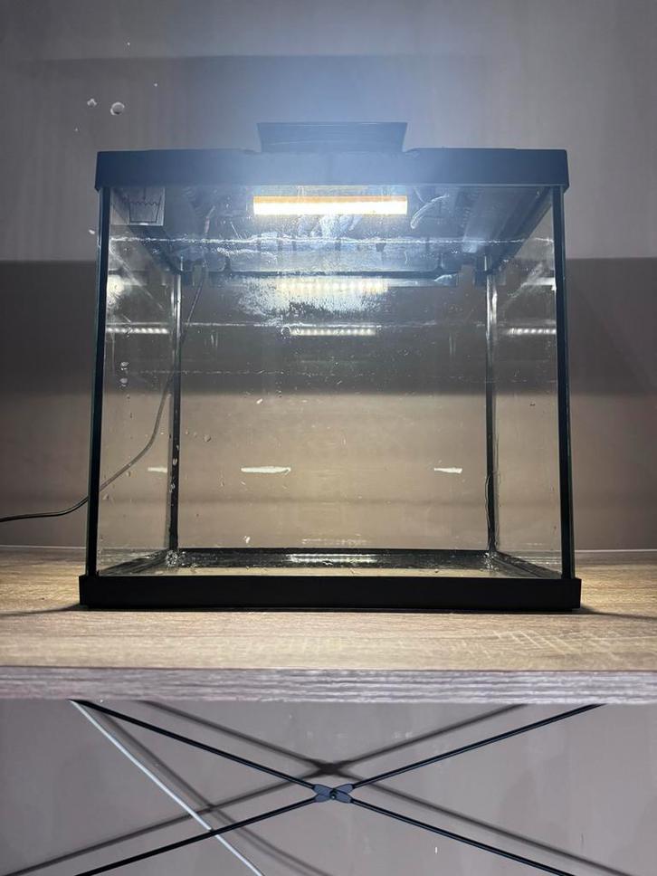 Compact aquarium met kap en LED-verlichting, Dieren en Toebehoren, Vissen | Aquaria en Toebehoren, Gebruikt, Leeg aquarium, Ophalen