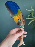 unieke smudge waaier feather/fan op gewei, Antiek en Kunst, Ophalen of Verzenden