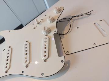 Slagplaat van FENDER USA beschikbaar voor biedingen