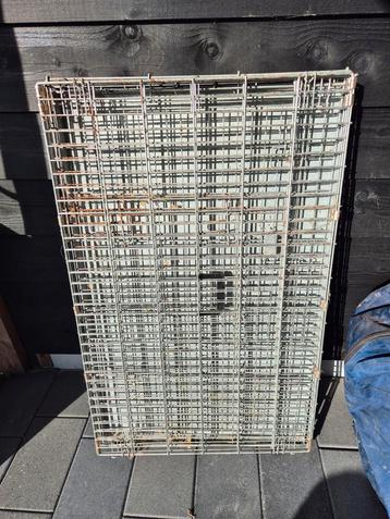 Bench hond groot beschikbaar voor biedingen