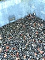 Strandkeien / Sierkeien/ beach pebbles Grijs Antraciet 3,5m³, Tuin en Terras, Grind, Keien en Split, Ophalen, Overige materialen