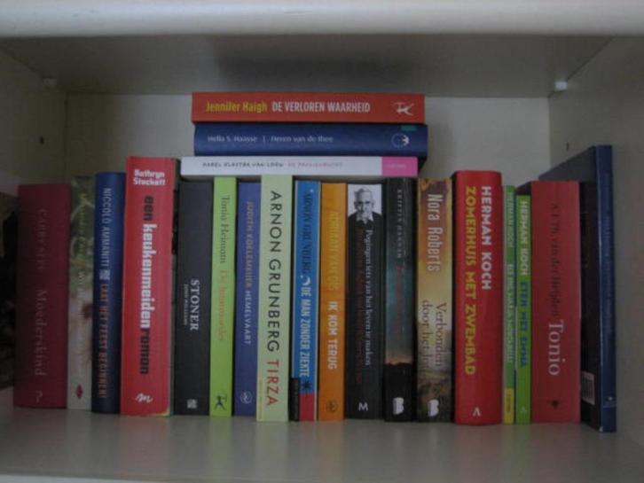 VEEL MOOIE ROMANS/LITERATUUR     4 voor 5,00 euro!, Boeken, Romans, Gelezen, Ophalen of Verzenden