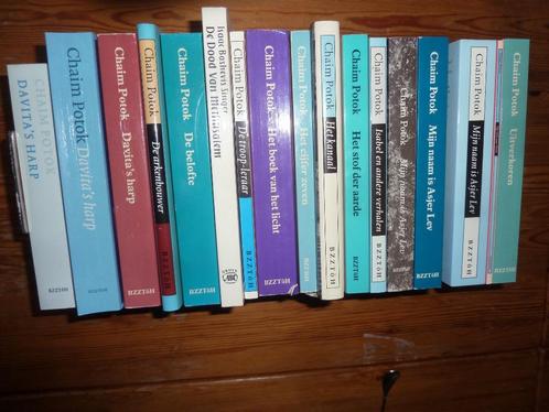 Diverse titels van Chaim Potok, Boeken, Literatuur, Gelezen, Nederland, Ophalen of Verzenden