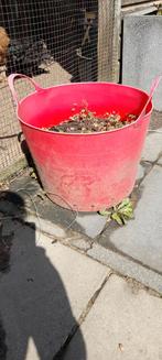 Plastic mand als plantenbak, Tuin en Terras, Bloembakken en Plantenbakken, Ophalen, Rond, Kunststof
