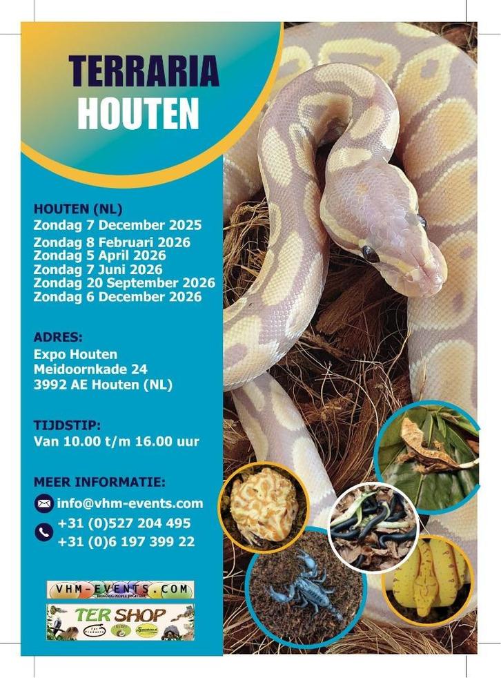 Terraria&Exoknaag Houten 07-12-2025 Nederlands grootste, Dieren en Toebehoren, Reptielen en Amfibieën, Amfibie, 0 tot 2 jaar